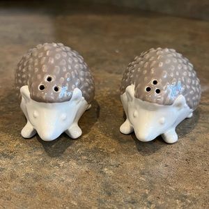Hedgehog Salt & Pepper Shakers! 🧂